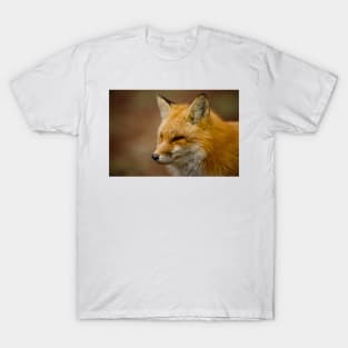 Red Fox T-Shirt